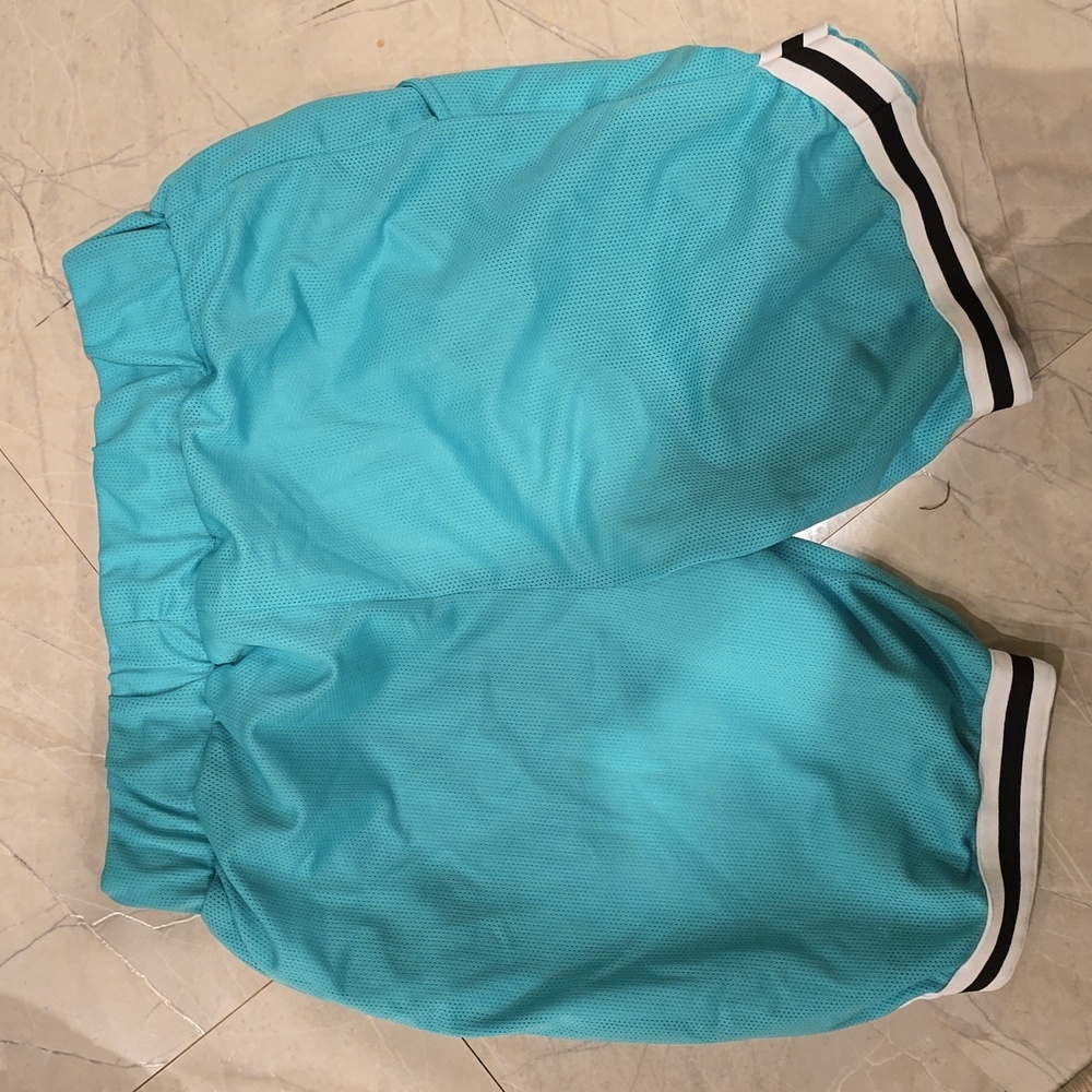 Shorts - Picture 2 of 3